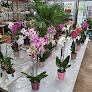 Negocio Art Fleurs Et Jardins