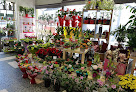 Negocio Au Chant Des Fleurs