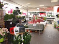 Negocio Babee Jardin