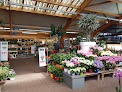Negocio Botanic Saint Etienne