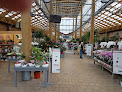Negocio Botanic Saint Genest Lerpt