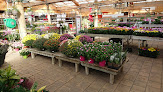 Negocio Botanic Valence