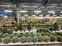 Negocio Botanic® Les Sables D'olonne