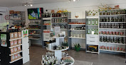 Negocio Cbd'eau Martinique
