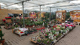 Negocio Espace Fleuri Jardinerie Bourg En Bresse