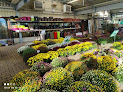 Negocio Espace Jardin Carpentras - Jardinerie, Alimentation Animale