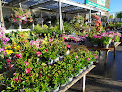 Negocio Espace Jardin - Jardinerie, Alimentation Animale