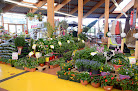 Negocio Florinand Aurillac