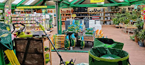 Negocio Gamm Vert