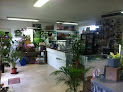 Negocio Growshop Green Passion