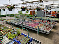 Negocio Horticulture Du Haut-Lignon