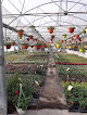 Negocio Horticulture Signoret