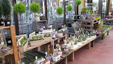 Negocio Jardiland