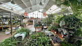 Negocio Jardiland