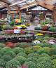 Negocio Jardiland