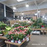 Negocio Jardiland