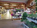 Negocio Jardiland