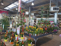 Negocio Jardiland