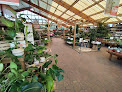 Negocio Jardiland