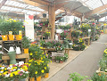 Negocio Jardiland