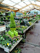 Negocio Jardiland
