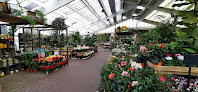Negocio Jardiland