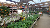 Negocio Jardiland
