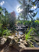 Negocio Jardin Botanique De Guyane / Maison De La Vanille