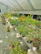 Negocio Jardin Fleuri Chez Rocheflor