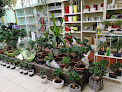 Negocio Jardinerie Courserant