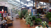 Negocio Jardinerie D’avezé