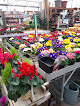 Negocio Jardinerie De Saujon