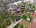 Negocio Jardinerie Delbard