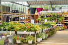 Negocio Jardinerie Derly Blagon