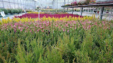 Negocio Jardinerie Des Alpes