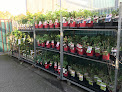 Negocio Jardinerie Dicharry