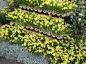 Negocio Jardinerie Du Bocage