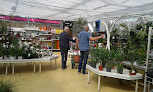 Negocio Jardinerie Dulong