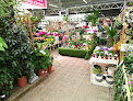 Jardinerie Grand Cap