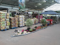 Negocio Jardinerie Jacques Briant