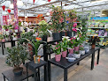 Negocio Jardinerie La Serre