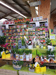 Negocio Jardinerie Lagadec