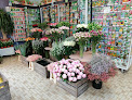 Negocio Jardinerie Livoireau Maillet Bruno