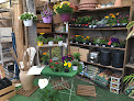 Negocio Jardinerie Nature Et Provence