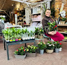 Negocio Jardinerie & Paysages Gassian Delbard