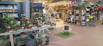 Jardinerie Poullain