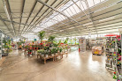 Negocio Jardinerie Reynaud Fleurs
