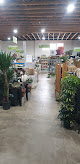 Jardinerie Valgwen Kiriel