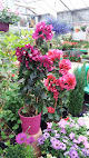 Negocio La Jardinerie (Sarl)