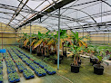 Negocio Le Jardin De Valérie - Sas Arthaud